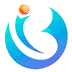 Buddys Infotech logo